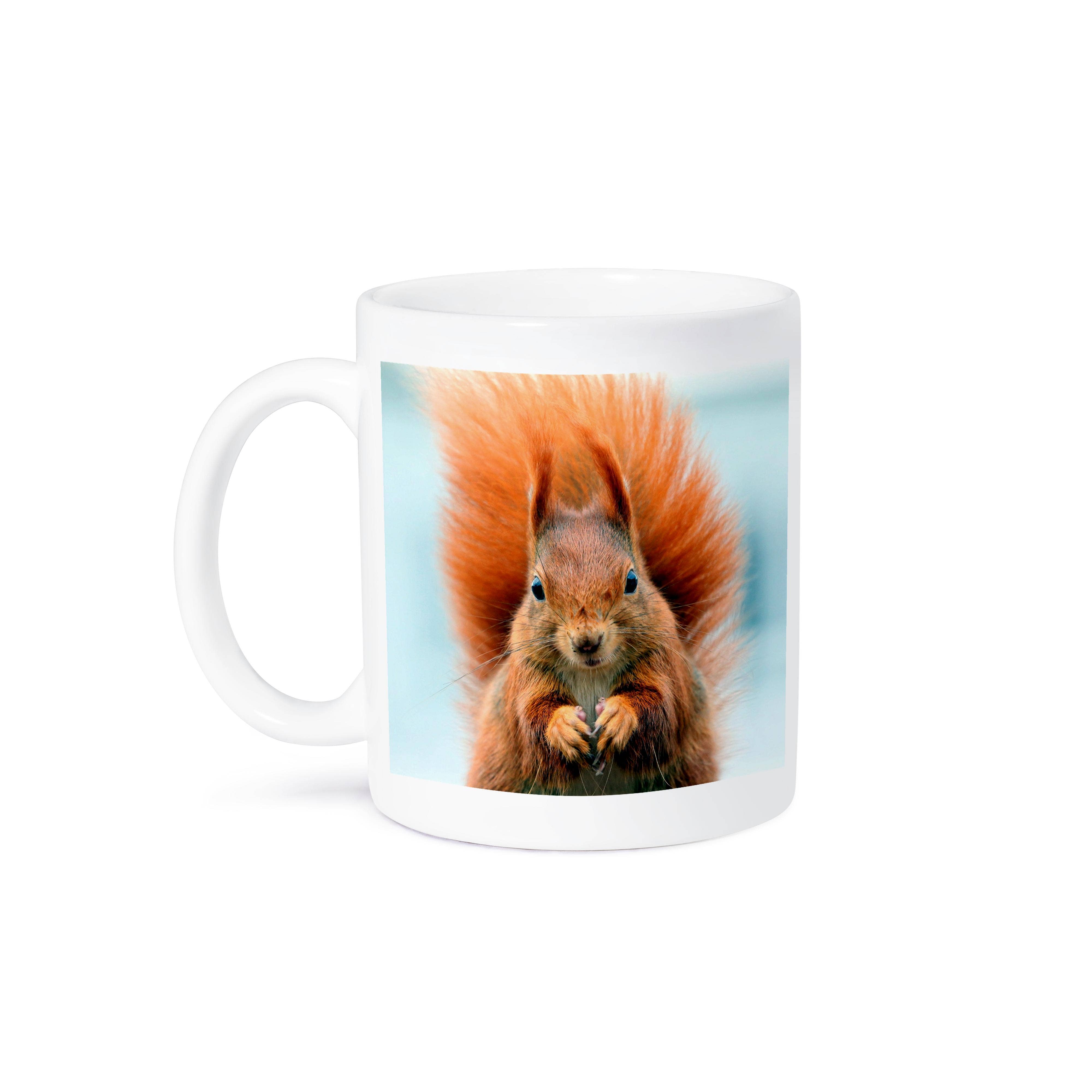 3dRose - Wholesale Coffee Mug - 3dRose, Adorable Red Squirrel, Mug8