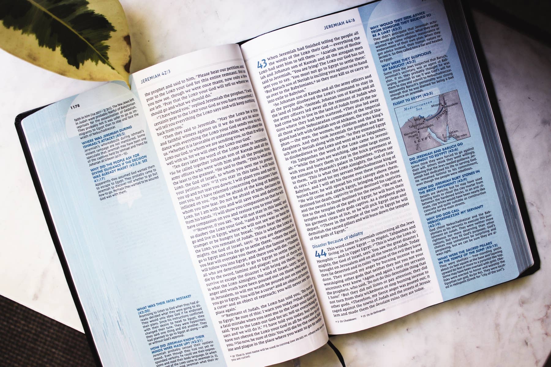 HarperCollins Christian Publishing - Wholesale Reference - NIV Quest Study Bible, Large Print, Bonded Leather, Black5