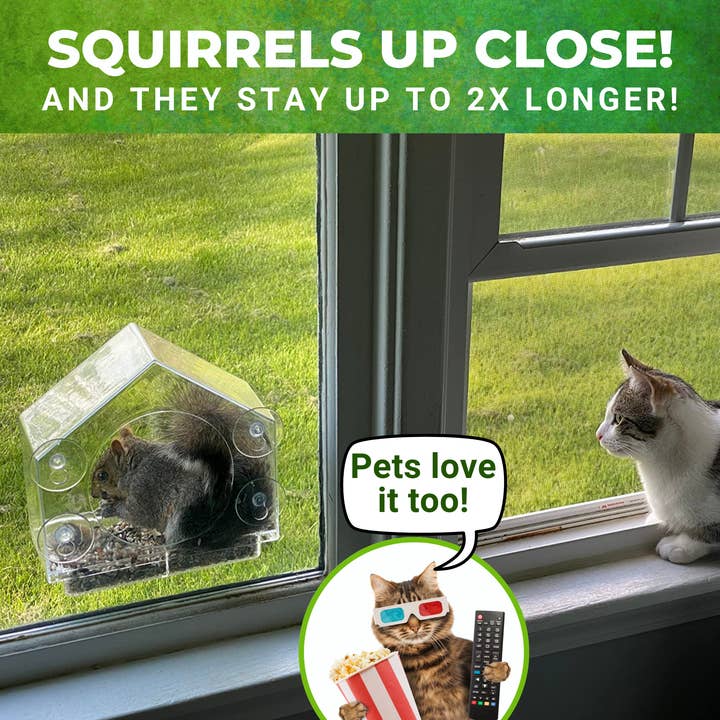 Nature Anywhere - Wholesale Bird feeder - Squirrel-I-View Window Squirrel Feeder3