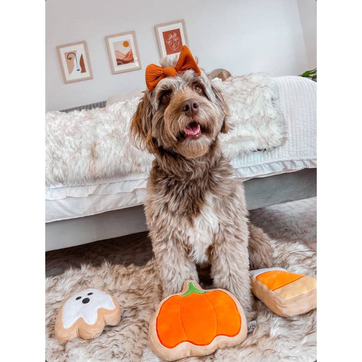Midlee Designs - Wholesale Pet Plush Toy - Dog - Midlee BOO Sugar Cookie Halloween Plush Dog Toys5