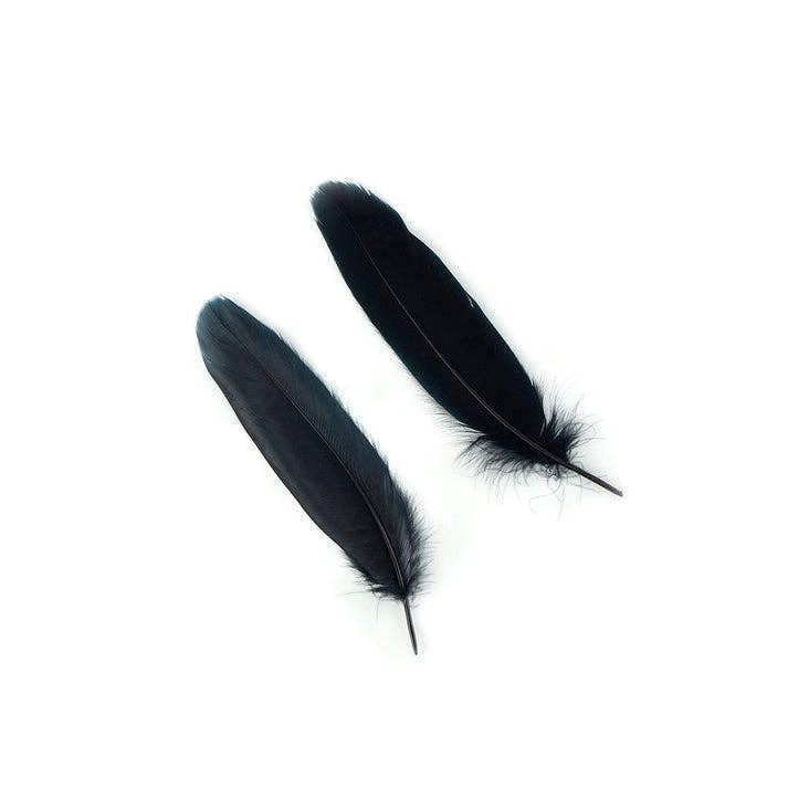 Zucker Feather Products - Wholesale Feathers - Bulk Goose Pallet Feathers 6-8 nch - 1/4 LB - Black1