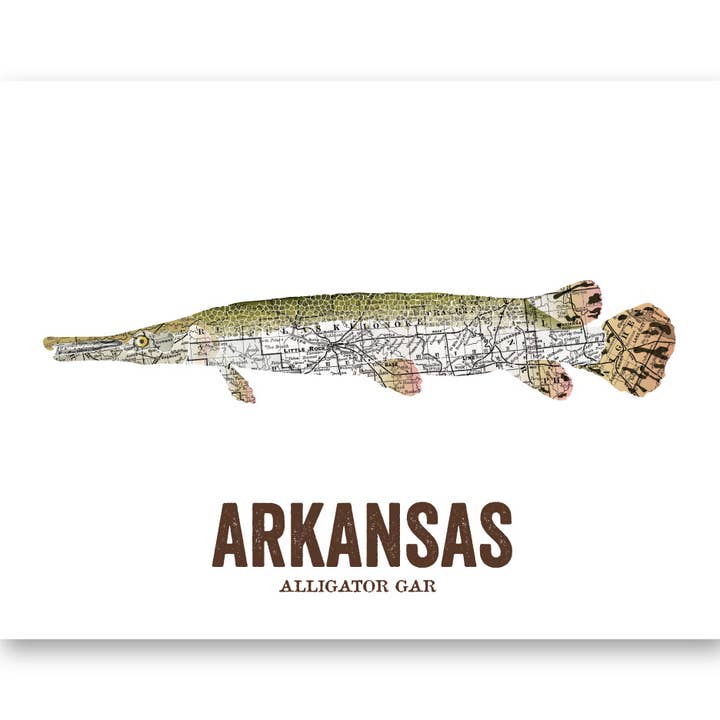 Wooden Pencil Company - Wholesale Art Print - Arkansas State Fish - Alligator Gar