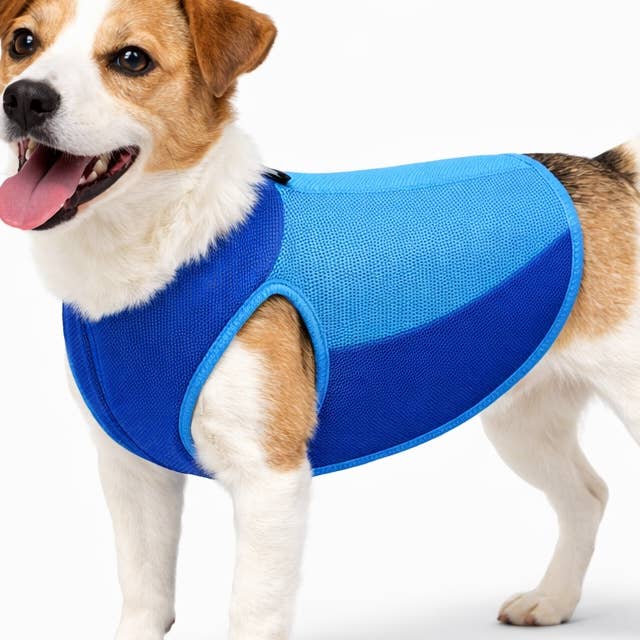 Colete refrescante azul para cães tamanho P por atacado de NHP International
