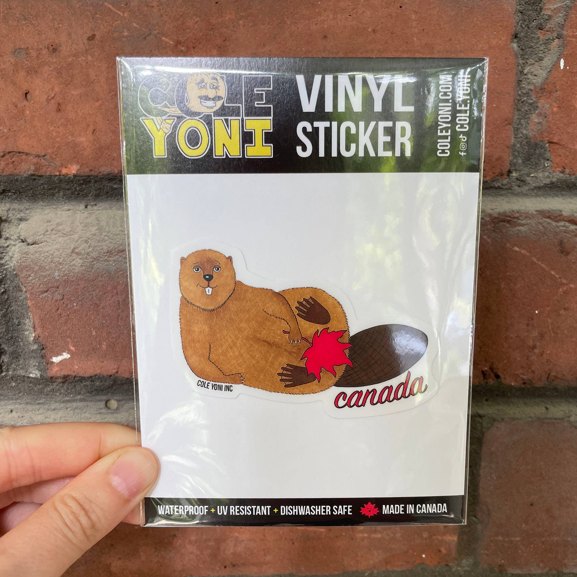 Cole-Yoni Inc. - Vente Autocollant - Autocollant en vinyle Castor canadien3