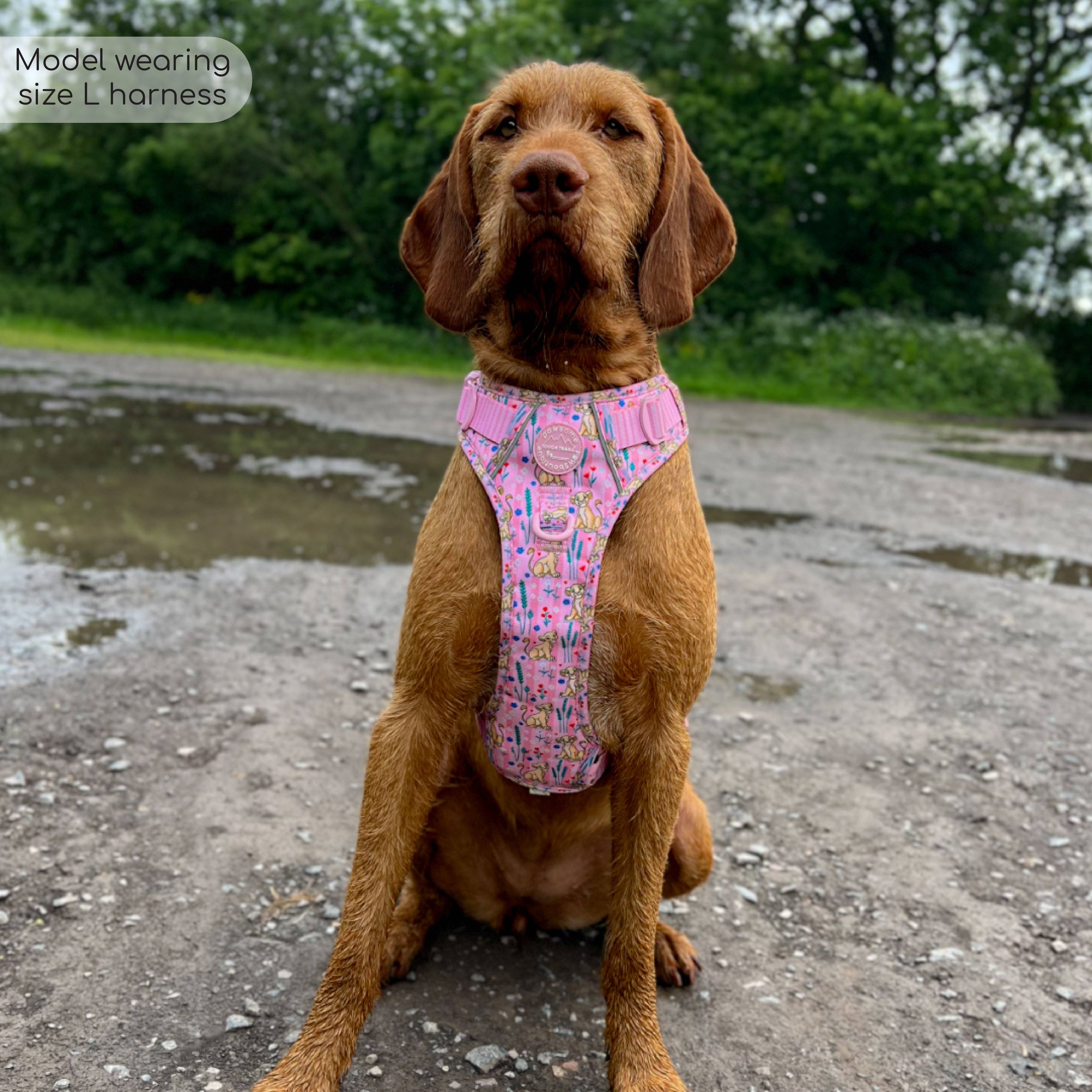 Pawsome Paws - Vendita all'ingrosso Pettorina - Cani - Imbracatura Disney© Tough Trails™ - Nala13