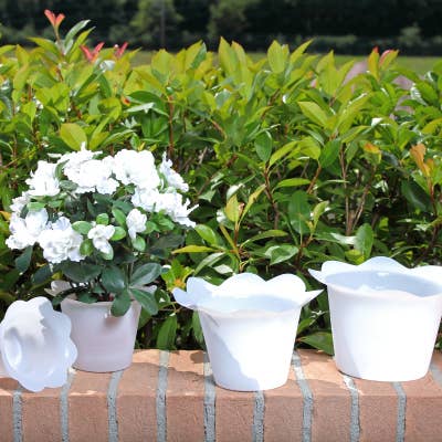 B&P Italia - Wholesale Plant Pot - Colourful cheap pot covers