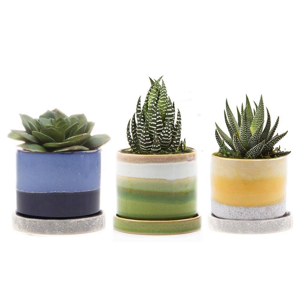 Chive UK - Wholesale Plant Pot - Minute - Glazed Modern Ceramic Pot with Saucer37