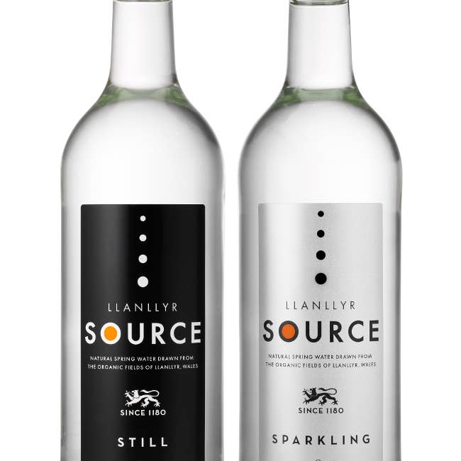 Llanllyr SOURCE Water and Mixers – Engroshandel Kulsyreholdig vand – KILDE Still Vandglas 24/330ML