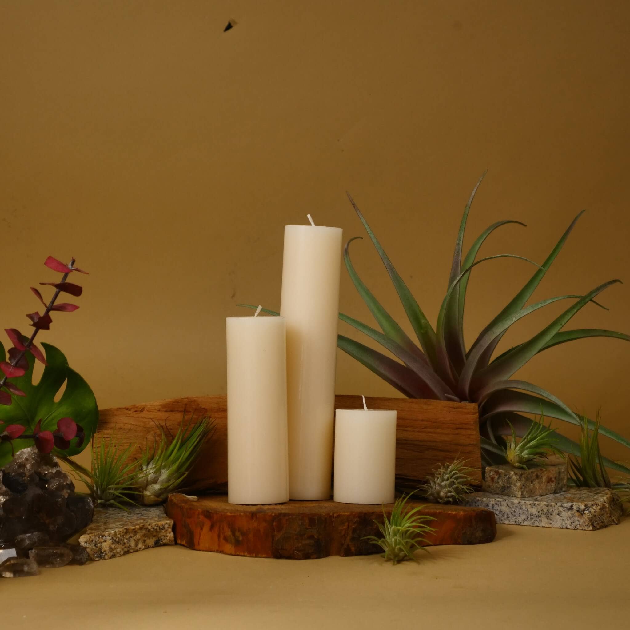 ENVIRONMENT - Vente Bougies piliers - Bougies à colonne en ivoire24