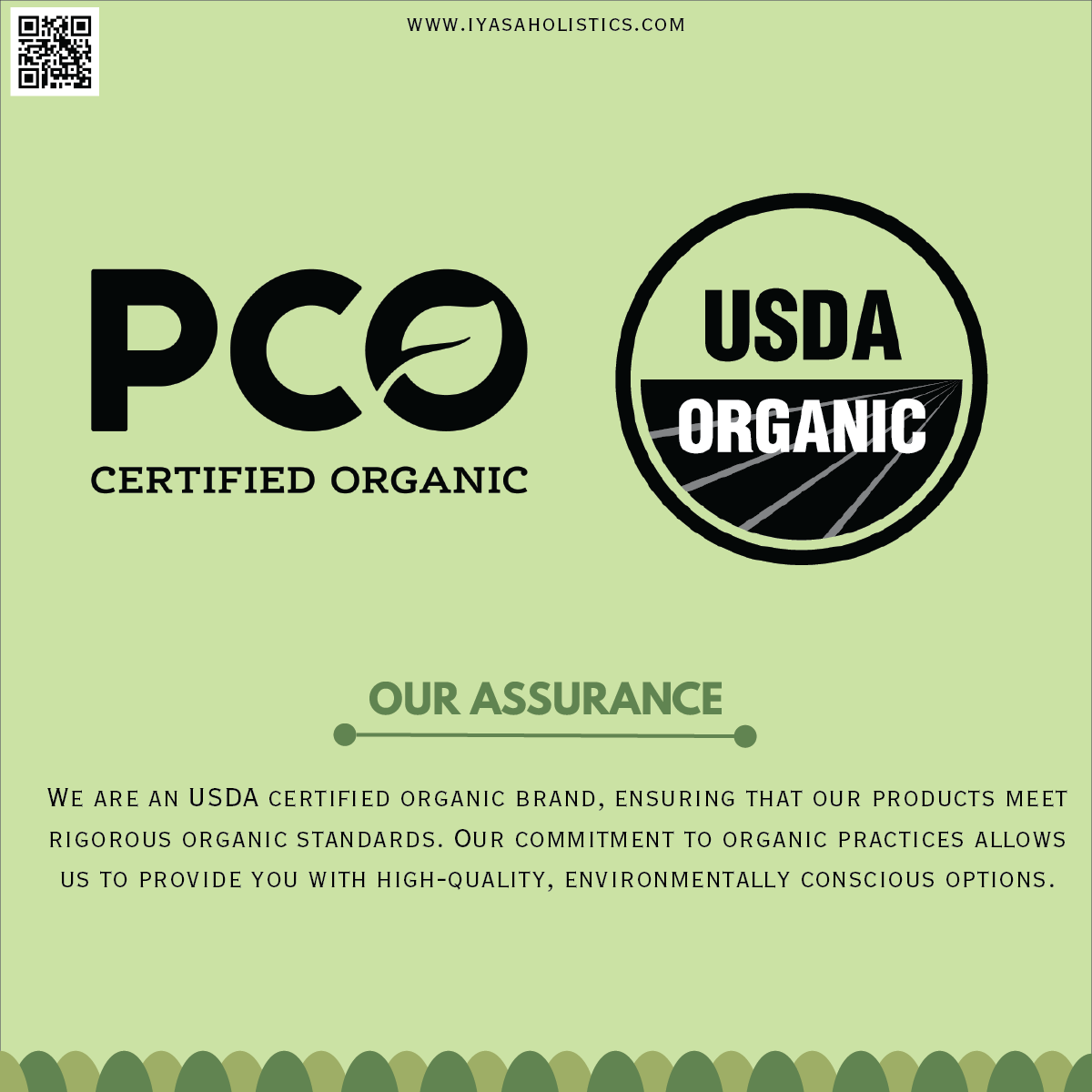 Iyasa Holistics – wholesale Loose tea – Organic Senna Leaves Loose Tea2