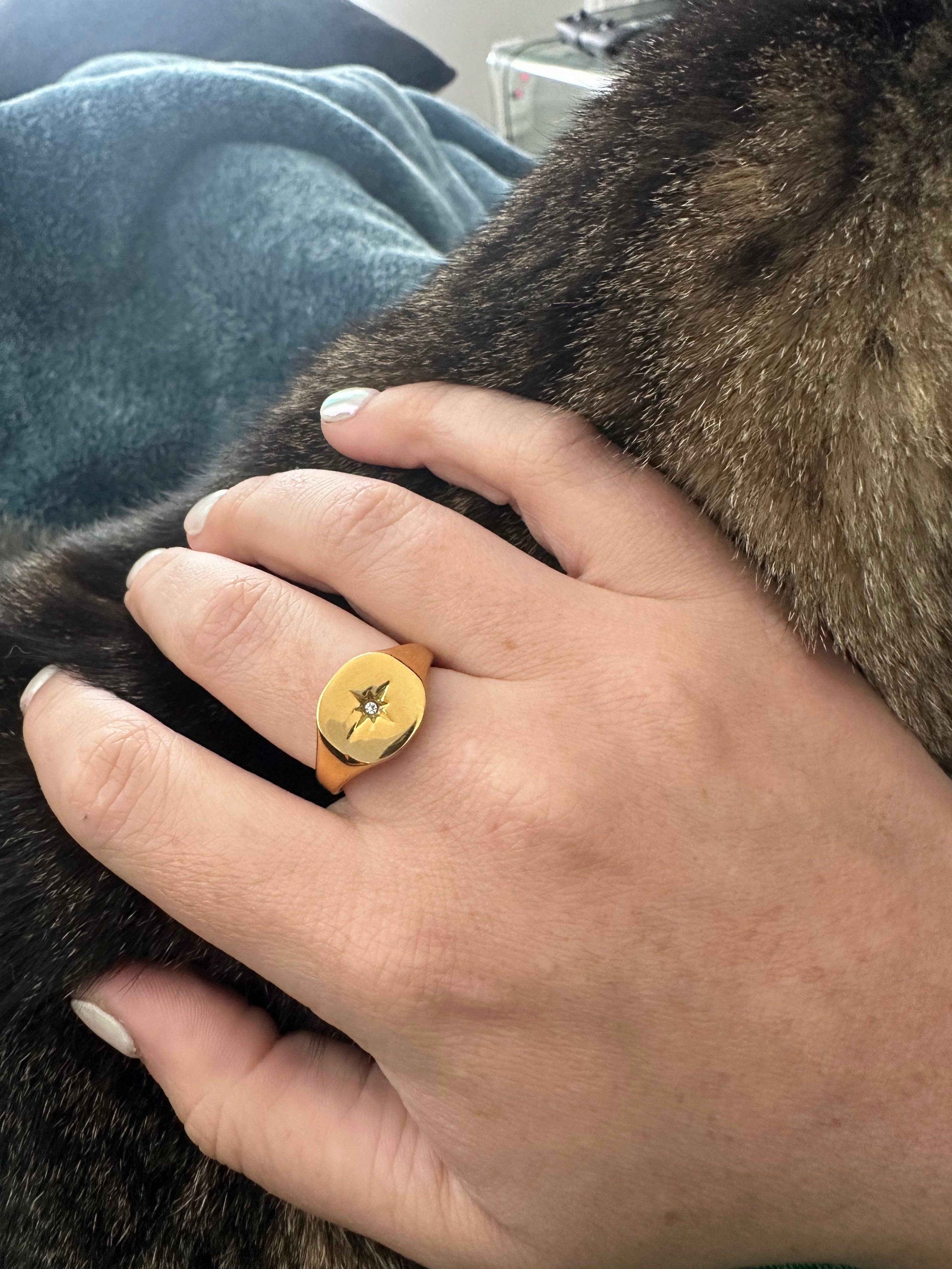 DRIP JEWELRY - Wholesale Signet Ring - Burst Signet Ring (size 6-8)6