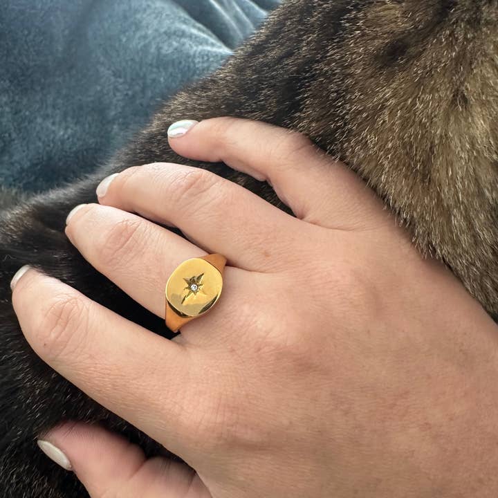 DRIP JEWELRY - Wholesale Signet Ring - Burst Signet Ring (size 6-8)6