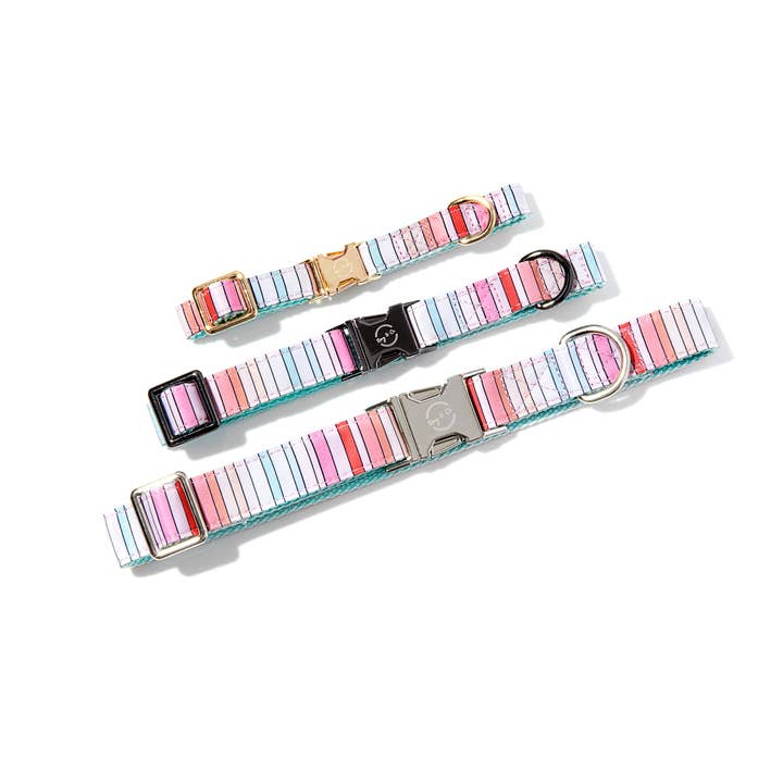 Roxy & Co. Canine Accessories - Wholesale Pet Collar - Dog - BRANDI STRIPE DOG COLLAR1