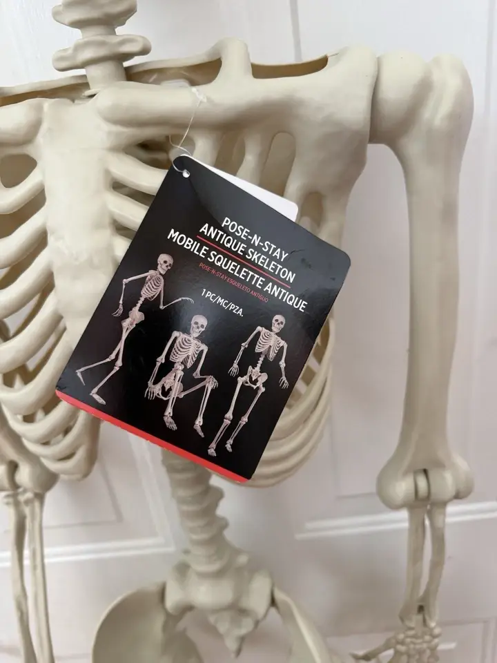 Innovarix - Wholesale Nativity Scene Decor - Life Size Skeleton - 5 Ft (moveable joints) pick a pose5