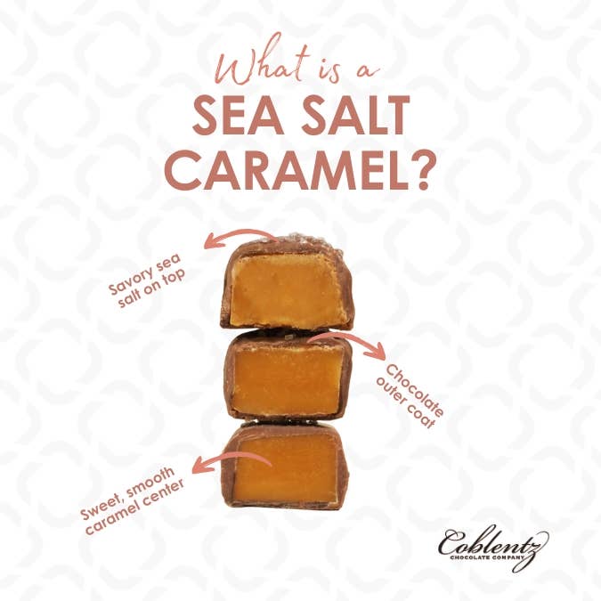 Coblentz Chocolate Company - Wholesale Chocolate Covered Sweets - Bite Sized Dark Sea Salt Caramels1