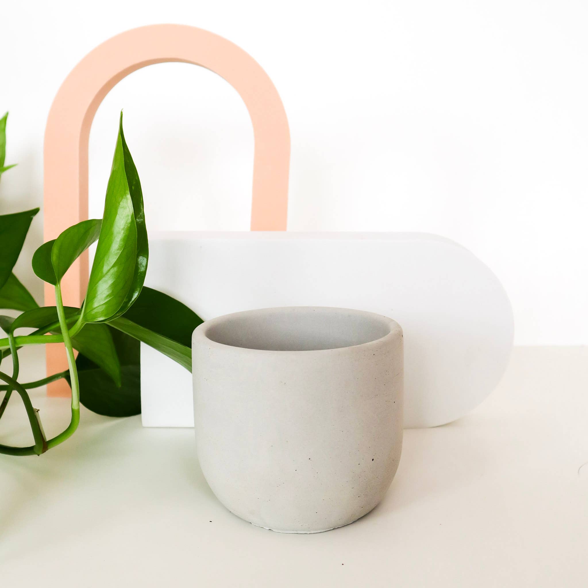 The Plant Supply - Wholesale Plant Pot - Concrete Planter - 4" | Plant Pot With Drainage Hole0