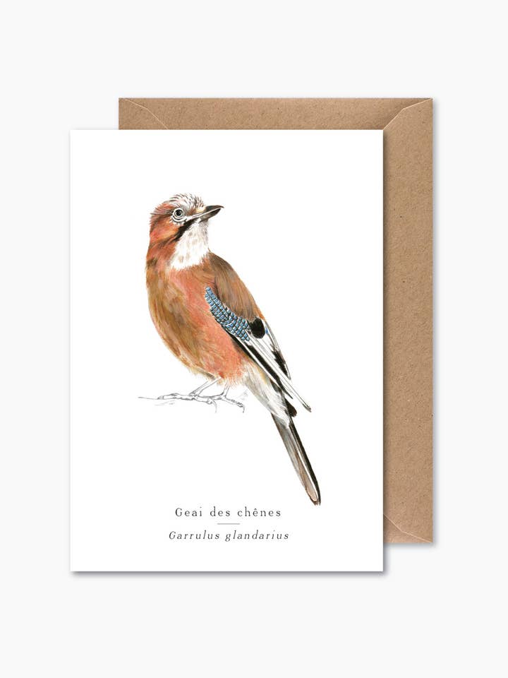 Jay for wholesale by Papier Mirage