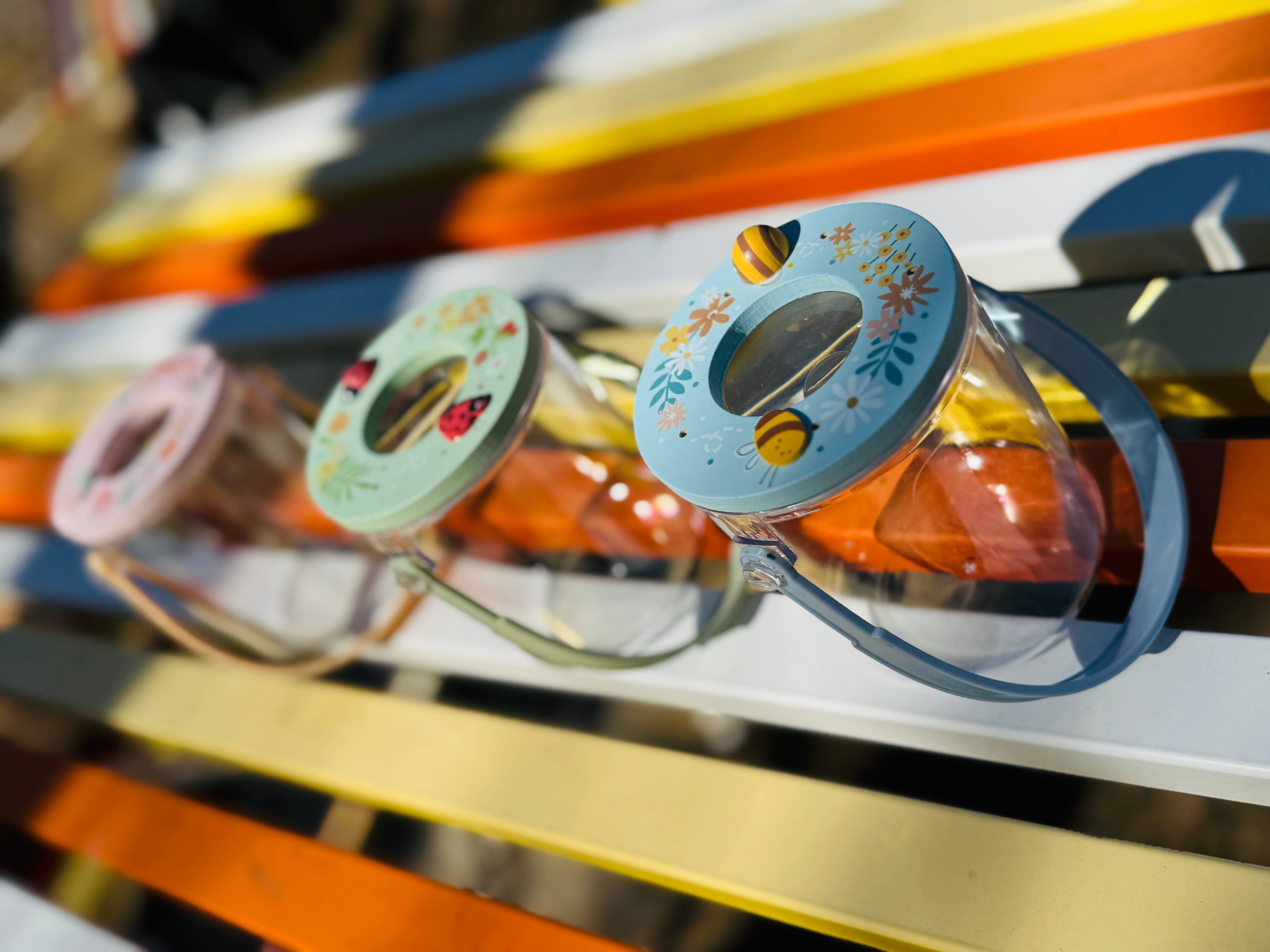 ToysLink – wholesale Wood toy – Child – Bug Jar with Magnifier Wooden Lid4