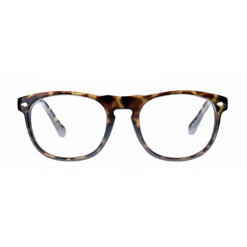 Icon Eyewear Europe BV - Wholesale Eyeglasses - Unisex - Reading glasses Luciano, 4 colorways2