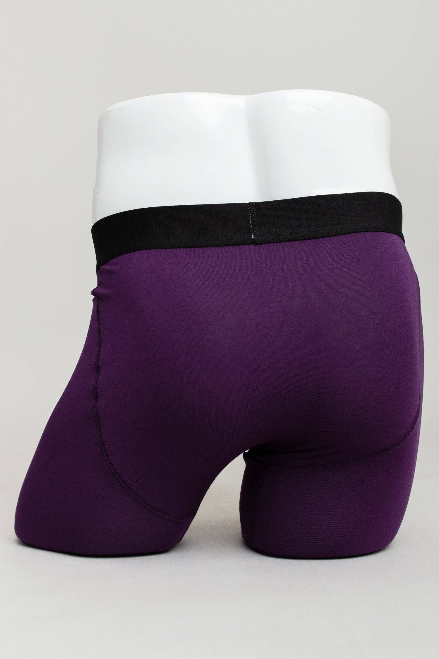 Blue Sky Clothing Co LLC – wholesale Underkläder - Herr – Mellersta mannen, Royale, Bambu1