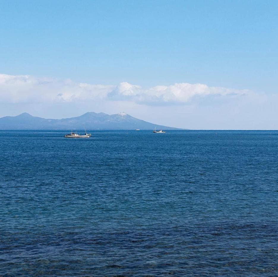 「FUNJI」In Japan - Wholesale Wind Chime - Tsugaru Vidro Japanese Glass Wind Chime Ocean Conservation8