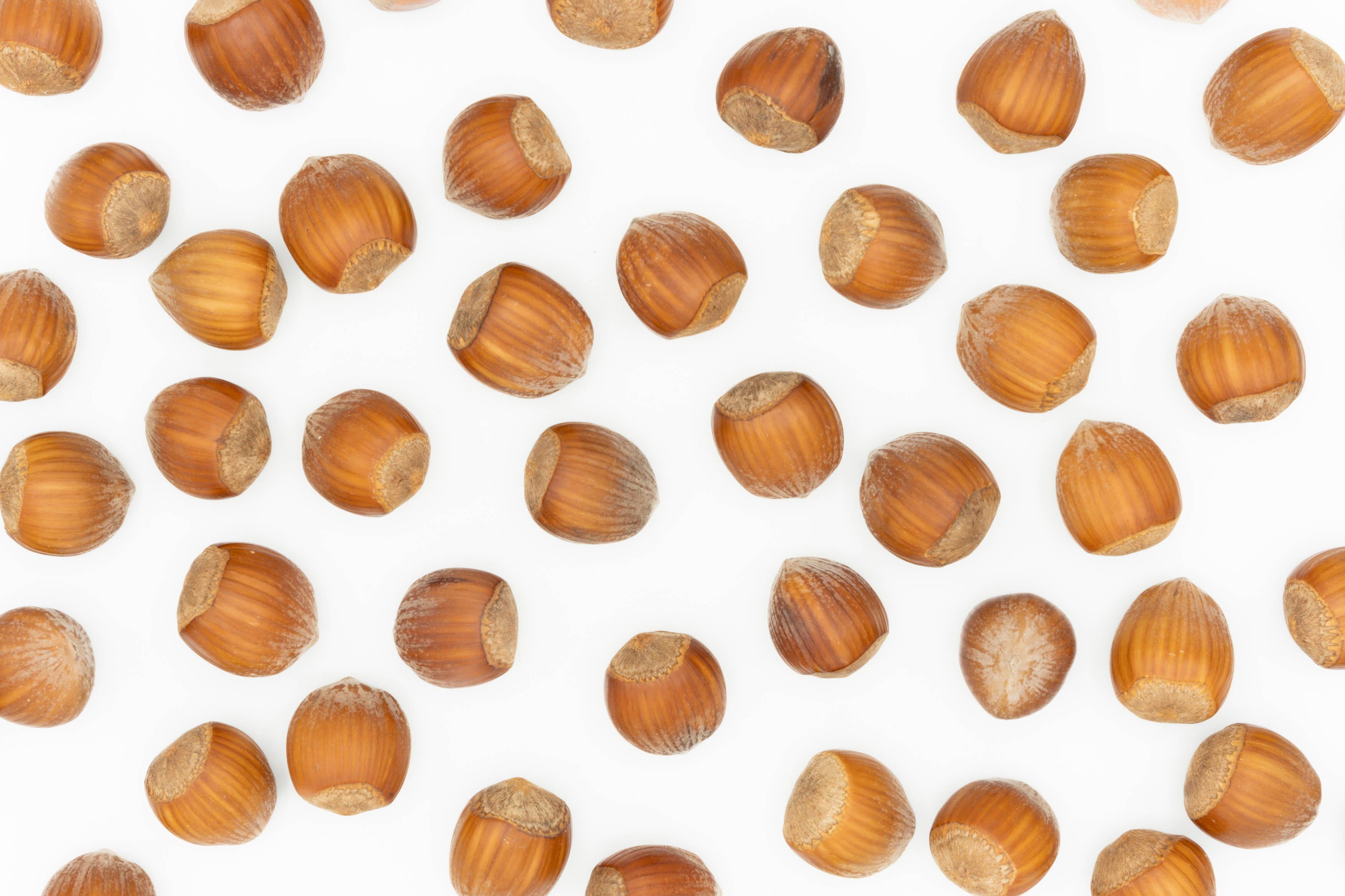 Agnellini Int Srl - Vente Noix - Noisettes décortiquées italiennes premium 2 kg3