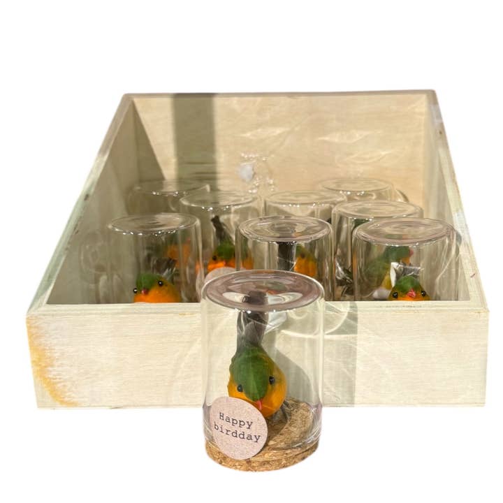 Vogels happy birdday 12x voor wholesale door Sidedish Cards