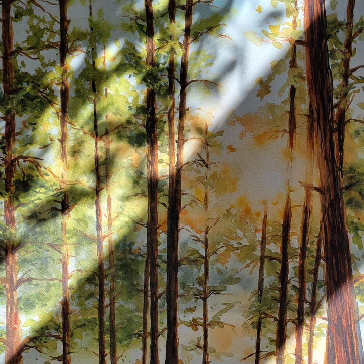 Paperbec Design Co. - Wholesale Art Print - "Algonquin Sunset Through the Pines" Forest Watercolor Print1
