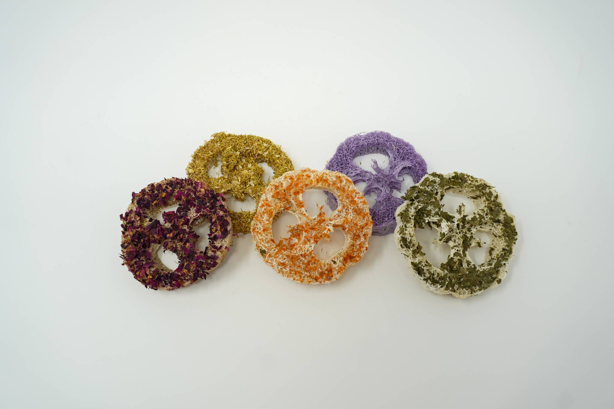 No Furries Delights - Vendita all'ingrosso Giocattolo per animali - Non gatti o cani - Confezione assortita di loofah aromatizzati (5 pezzi)1