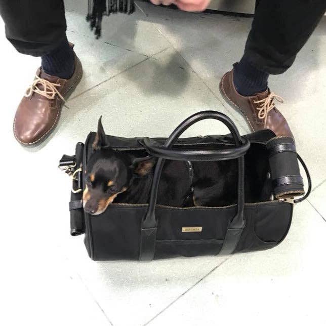 MERÏKH bags & accessories ©™ - Wholesale Pet Carrier - Cat/Dog - Airline approved Pet Carrier L - Black14