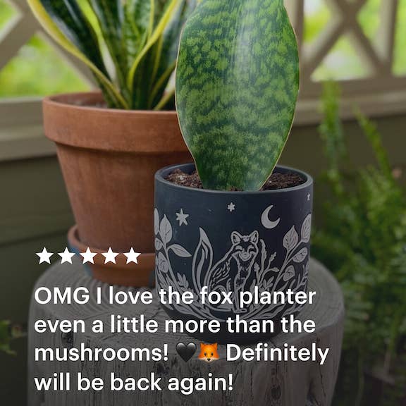 Simply Supplied Co - Wholesale Plant Pot - Fox Sgraffito Planter | Modern Boho Pottery | Terracotta5