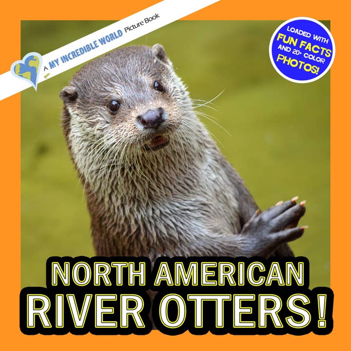 North American River Otters! A My Incredible World Picture Book for Children for wholesale by My Incredible World