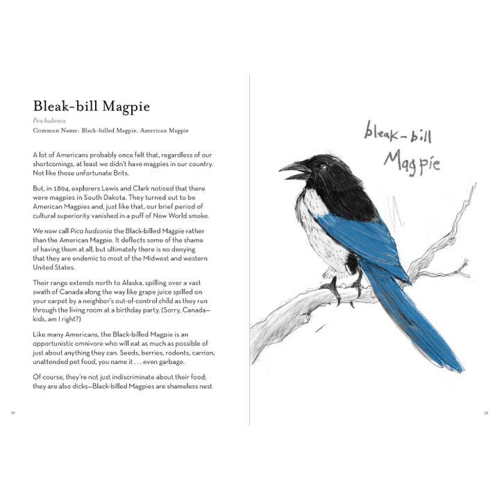 Chronicle Books - Wholesale Book - Adult - Dumb Birds Field Guide to the Worst Birds Ever