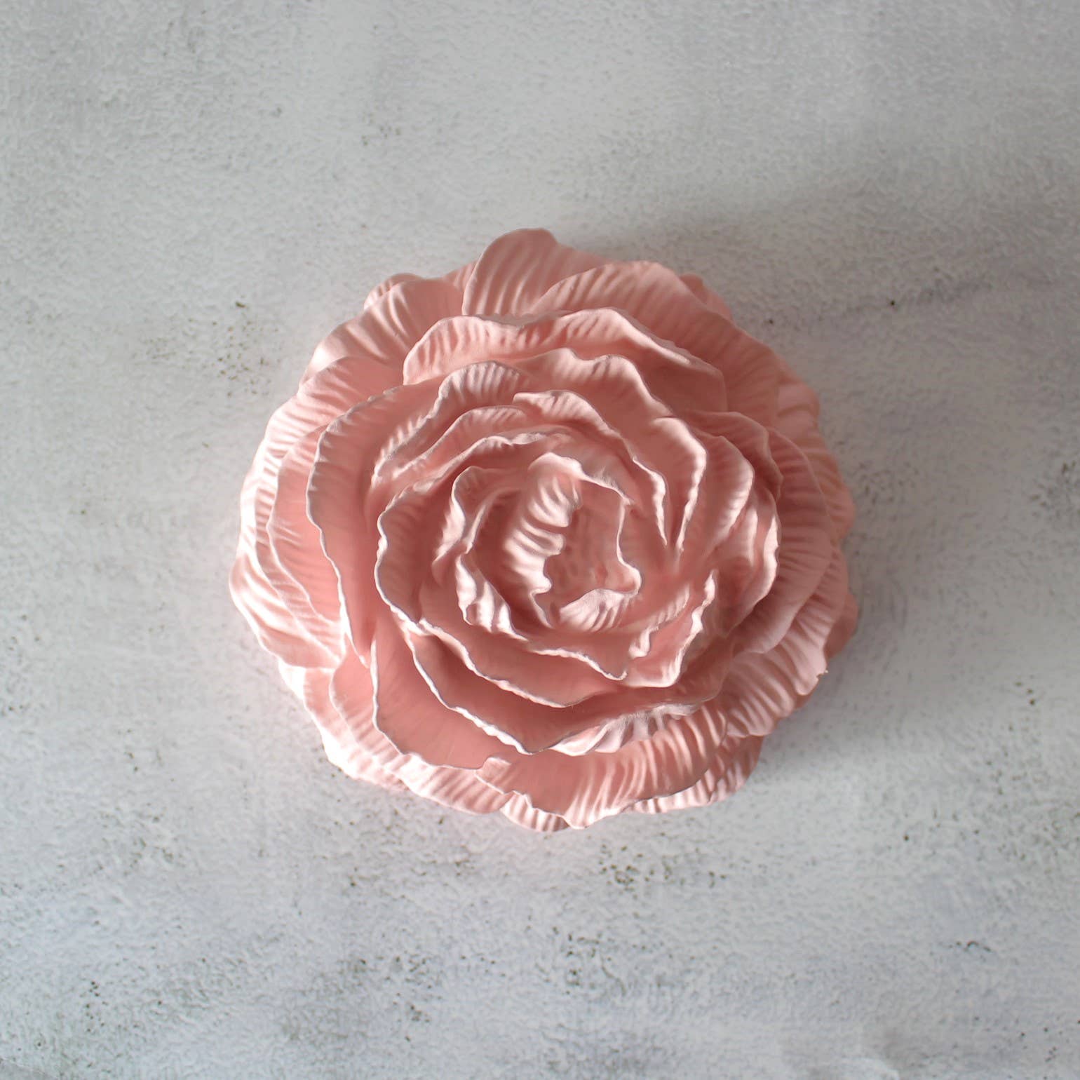 44 - Quarenta44Quatro - Wholesale Wall Accent - Peónia Gigante de Gesso4