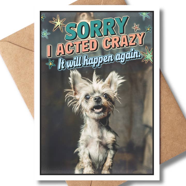 Greeting Cards by Katie Doodle & Gifts by Matchbox Card Co - Wholesale I'm Sorry Card - Funny Apology Cards Blank Inside, I'm Sorry Cards Bulk (Dog)0