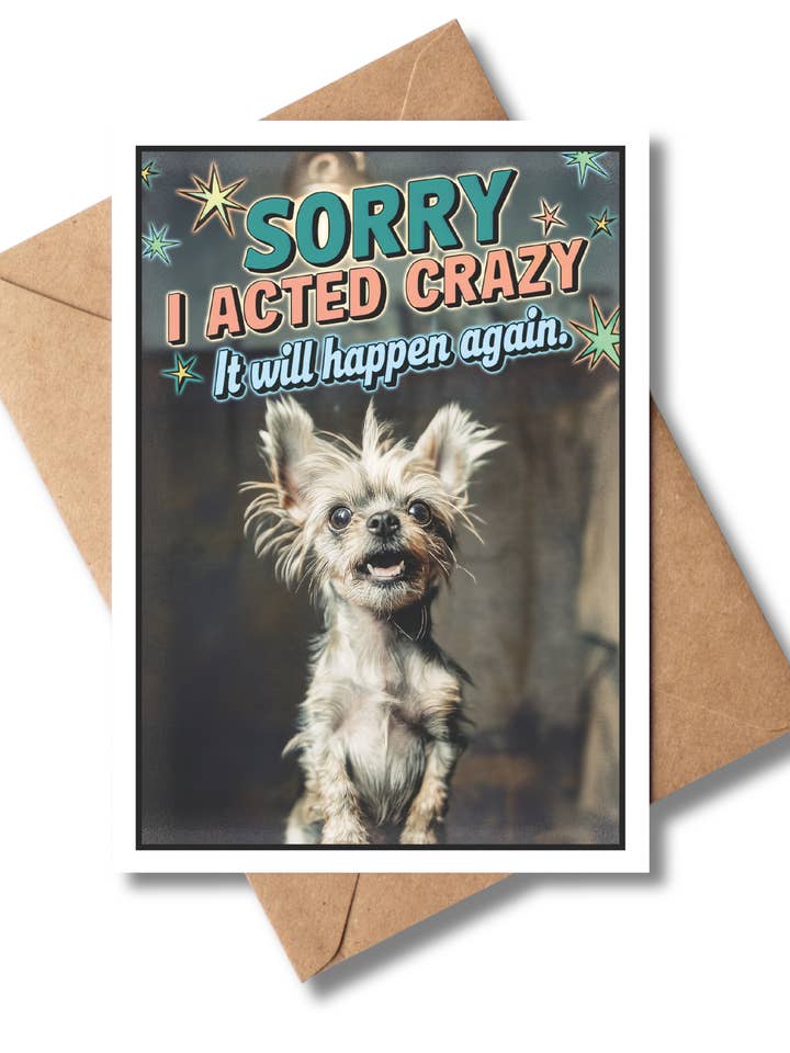 Lustige Entschuldigungskarten, innen leer, I'm Sorry Cards Bulk (Hund) für den Großhandel von Greeting Cards by Katie Doodle & Gifts by Matchbox Card Co