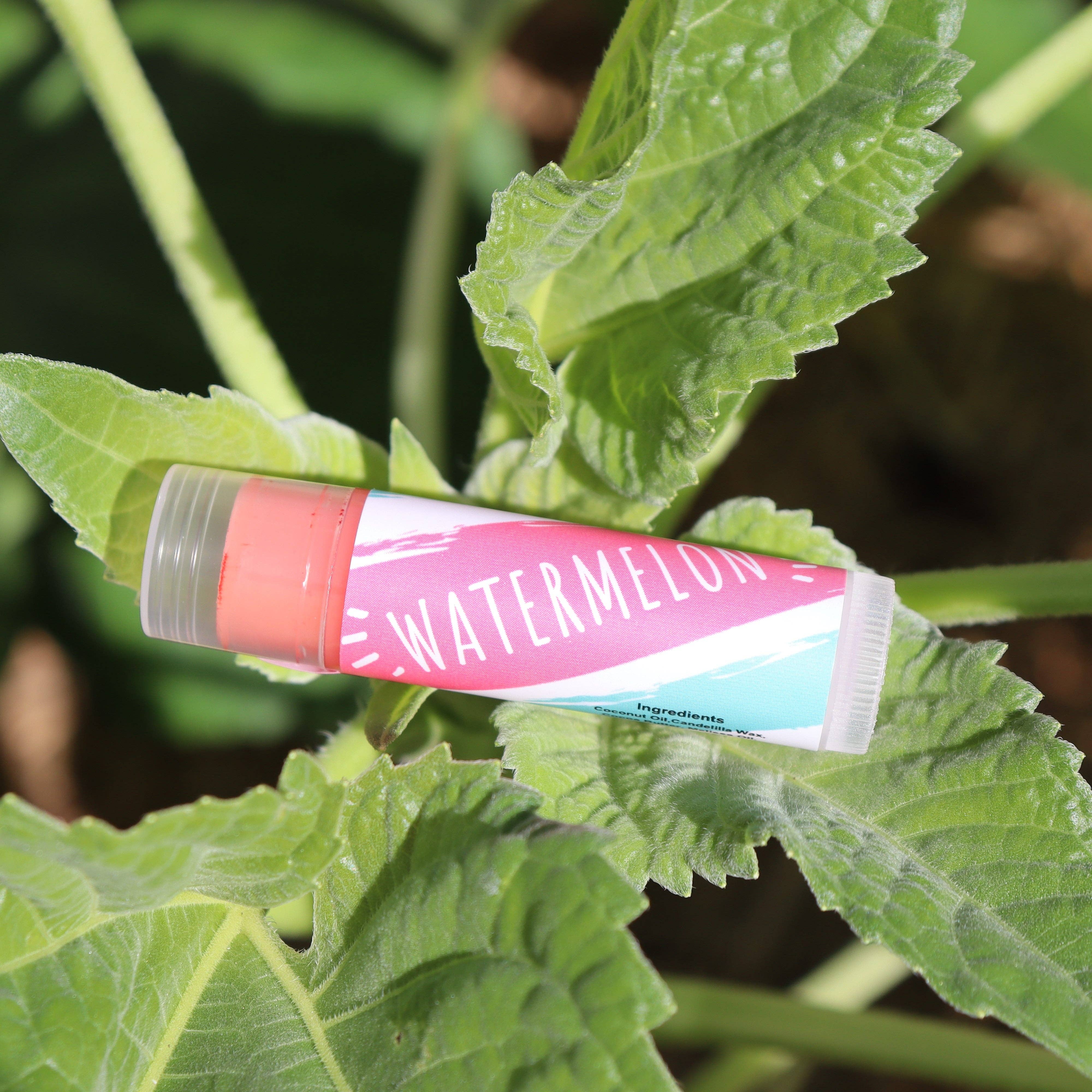 Little Fox Lip Balm - Wholesale Lip Balm - Lemon Balm Tinted0