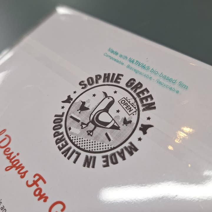 Sophie Green Artist - Wholesale Art Print - Chippy Tea Signed Art Print Chip Shop Dinner Seagull2