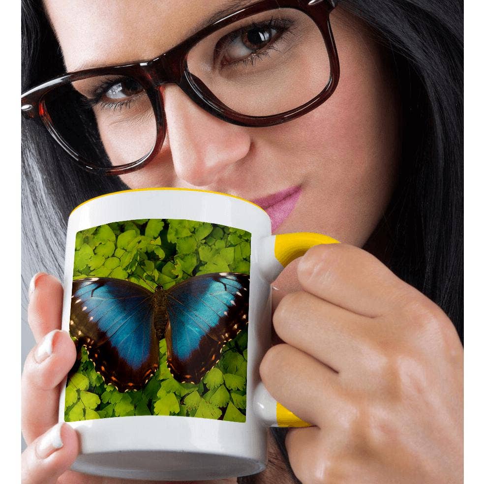 3dRose - Wholesale Coffee Mug - 3dRose, Tropical Butterfly the Blue Morpho, Morpho granadensis, on fern, Mug1