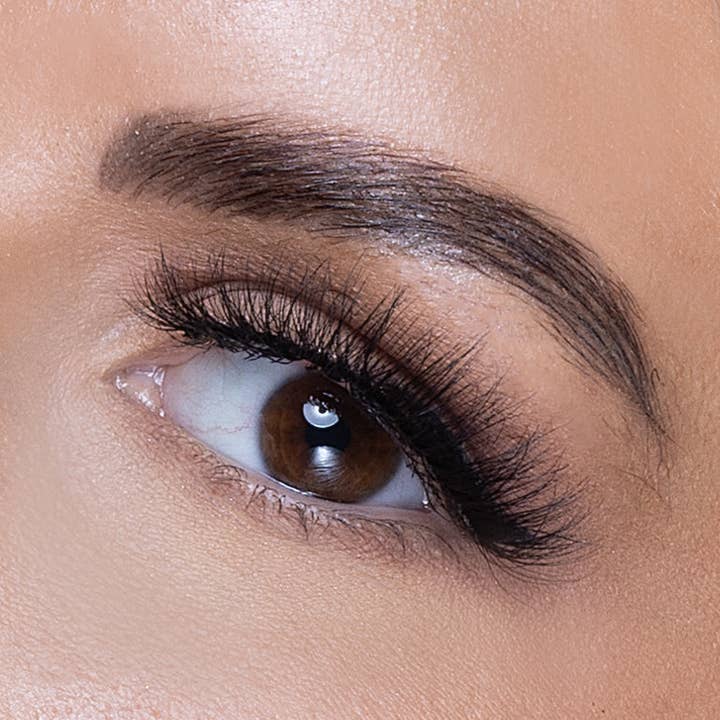 Trophy Wife Lash for wholesale by Reign Lashes