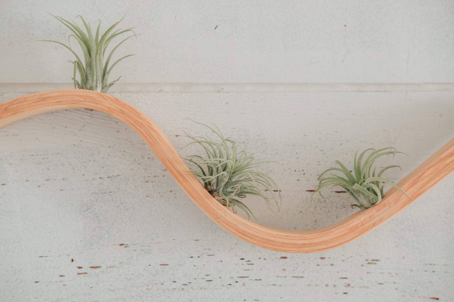 Horsemen Co. – wholesale Hängande kruka – Liten Våg Luftfabrik Hängare8