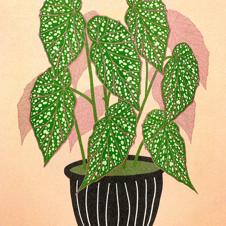 Risograph Print - Begonia 8.5x11 for wholesale by StitchPrism