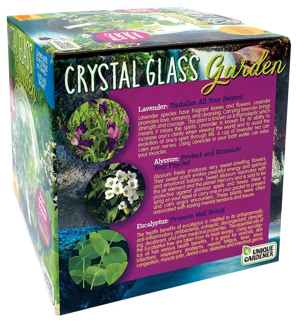 Silver Circle Products - Wholesale Terrarium - Crystal Glass Garden Glass Terrarium4
