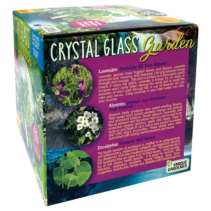 Silver Circle Products - Wholesale Terrarium - Crystal Glass Garden Glass Terrarium4