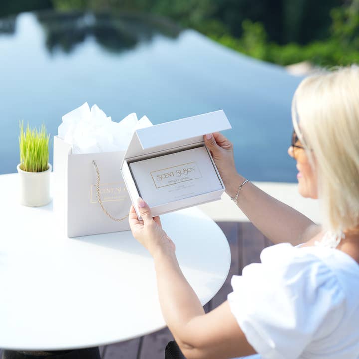 Scent Si Bon®️ - Wholesale Dryer Sheets - Scent Si Bon Le Beige Luxury Scented Dryer Sheets – 50 Count14