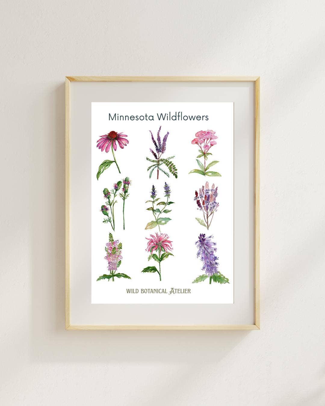 Wild Botanical Atelier - Wholesale Art Print - Minnesota Wildflowers Artwork Collection #2
