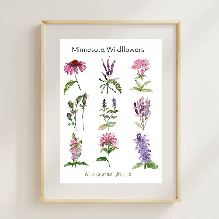 Wild Botanical Atelier - Wholesale Art Print - Minnesota Wildflowers Artwork Collection #20