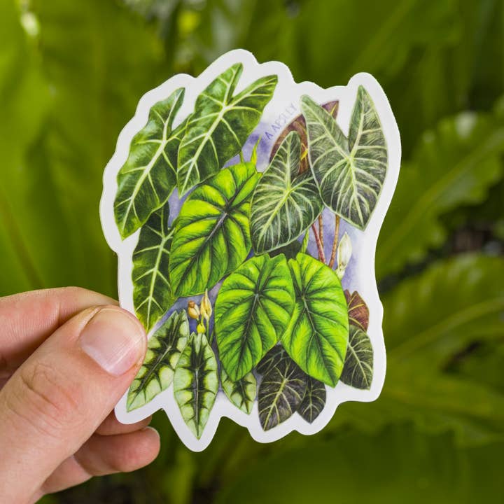 Alocasia Klistermärke för wholesale av Aaron Apsley Artwork