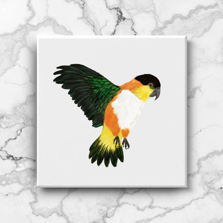 Black Headed Caique Parrot Ceramic Tile for wholesale by MerikaArt