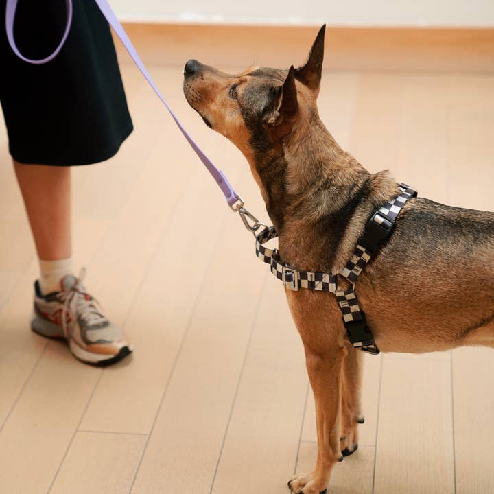 Approved by Fritz - USA - Wholesale Pet Harness - Dog - The Fritz Dog Harness | Adjustable, No-Pull & Reversible9